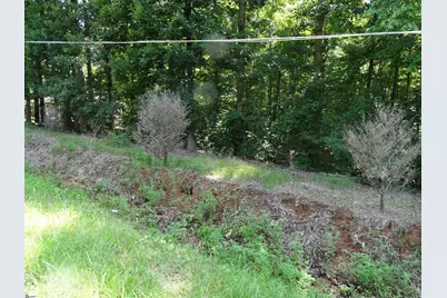 76 Tanyard Road, Greenville, SC 29609 - Photo 10