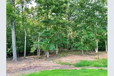 480 Green Lake Road, Chesnee, SC 29323 - Photo 42