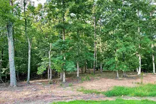 480 Green Lake Rd, Chesnee, SC 29323 - Photo 42