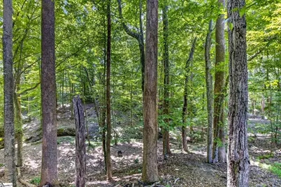 221 Foxhound Road, Simpsonville, SC 29680 - Photo 50