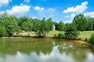 1527 S Blackstock Rd, Landrum, SC 29356 - Photo 12
