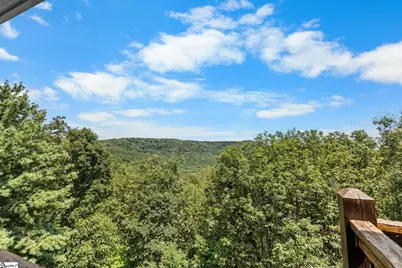 6 Little Bottom Road, Landrum, SC 29356 - Photo 38