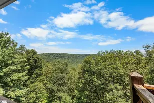 6 Little Bottom Rd, Landrum, SC 29356 - Photo 38