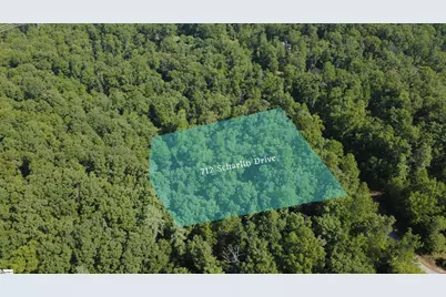 712 Scharlin Drive, Pickens, SC 29671 - Photo 4