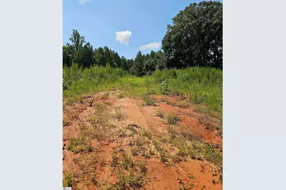 335 Old Ferry Road, Union, SC 29379 - Photo 8