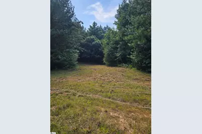 335 Old Ferry Road, Union, SC 29379 - Photo 2
