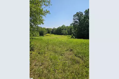 335 Old Ferry Road, Union, SC 29379 - Photo 4