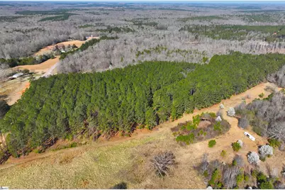 1 Bolt Road, Gray Court, SC 29645 - Photo 4