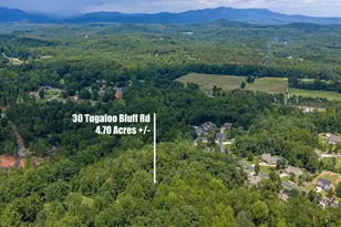 30 Tugaloo Bluff Rd, Travelers Rest, SC 29690 - Photo 2