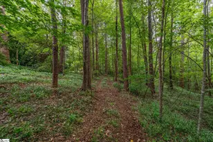 30 Tugaloo Bluff Rd, Travelers Rest, SC 29690 - Photo 46