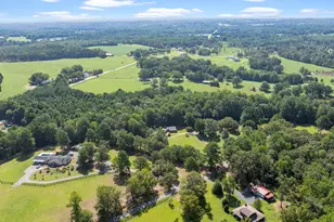 195 Pine Trce, Campobello, SC 29322 - Photo 50