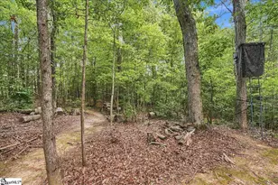 1129 Casey Rd, Woodruff, SC 29388 - Photo 30