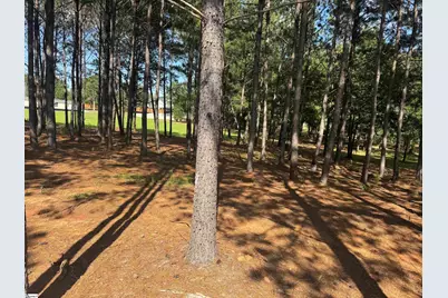 105 Nash Mill Road, Fountain Inn, SC 29644 - Photo 28