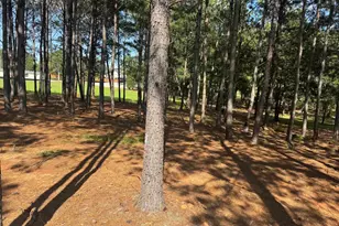 105 Nash Mill Rd, Fountain Inn, SC 29644 - Photo 28