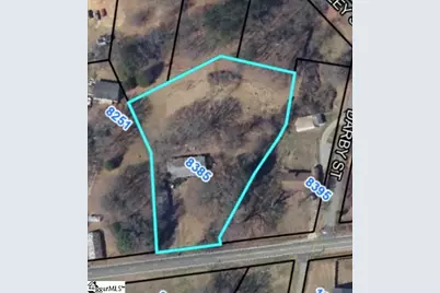 8385 Highway 357 Highway, Campobello, SC 29322 - Photo 2