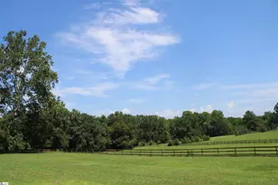 675 Old Mill Rd, Campobello, SC 29322 - Photo 40