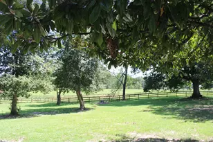 675 Old Mill Rd, Campobello, SC 29322 - Photo 16