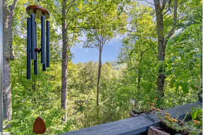 107 Spruce Lane, Zirconia, NC 28790 - Photo 2