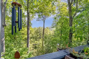 107 Spruce Ln, Zirconia, NC 28790 - Photo 2