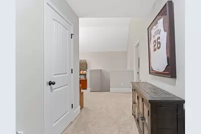 227 Wando Way, Greer, SC 29650 - Photo 22