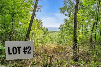 1321 Altamont Road, Greenville, SC 29609 - Photo 6