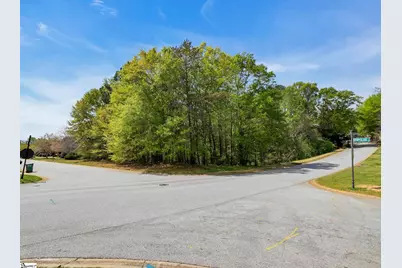 602 Mount Vernon Lane, Duncan, SC 29301 - Photo 14