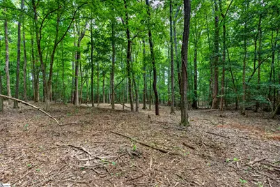 00 McFalls Circle, Anderson, SC 29627 - Photo 20