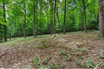 00 McFalls Circle, Anderson, SC 29627 - Photo 10