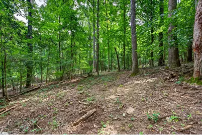 00 McFalls Circle, Anderson, SC 29627 - Photo 4
