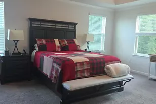 310 Wildbay Ct, Greenville, SC 29607 - Photo 10