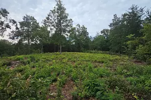 1138 Belue Mill Rd, Landrum, SC 29356 - Photo 1