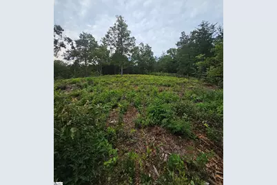 1142 Belue Mill Road, Landrum, SC 29356 - Photo 1