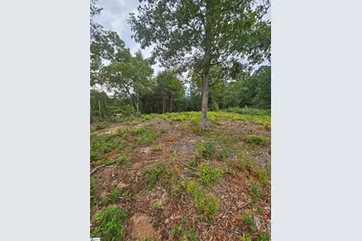 1146 Belue Mill Road, Landrum, SC 29356 - Photo 2
