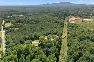 397 Lindsey Lake Rd, Travelers Rest, SC 29690 - Photo 48