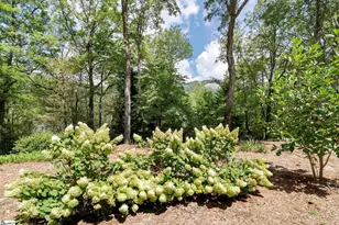 610 Plumley Summit Rd, Landrum, SC 29356 - Photo 18