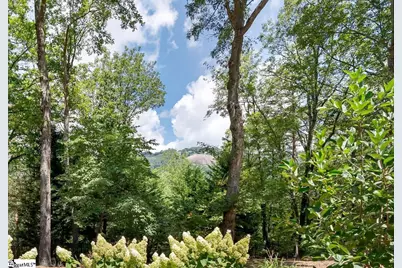 610 Plumley Summit Road, Landrum, SC 29356 - Photo 2