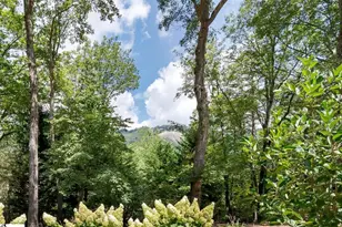 610 Plumley Summit Rd, Landrum, SC 29356 - Photo 2