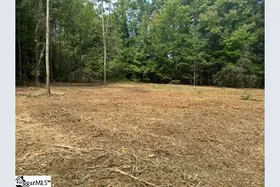 571 Highway 221, Laurens, SC 29360 - Photo 2