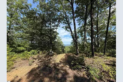 1140 Packs Mountain Ridge Road, Taylors, SC 29687 - Photo 6