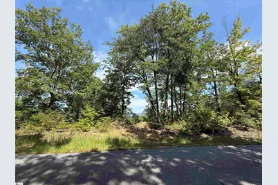 1140 Packs Mountain Ridge Road, Taylors, SC 29687 - Photo 2