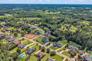 718 Tinsberry Ln, Inman, SC 29349 - Photo 44