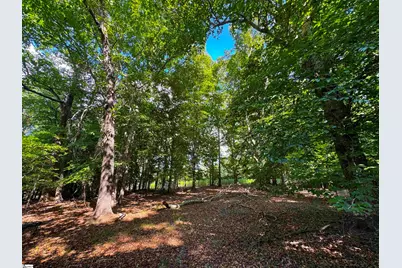 453 Lake Secession Road, Anderson, SC 29621 - Photo 10