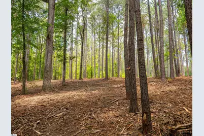 00 Cheek Road #Lot 15, Gray Court, SC 29645 - Photo 20