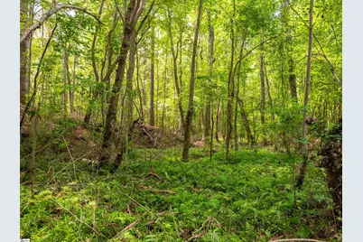00 Cheek Road #Lot 15, Gray Court, SC 29645 - Photo 24