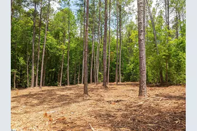 00 Cheek Road #Lot 15, Gray Court, SC 29645 - Photo 14