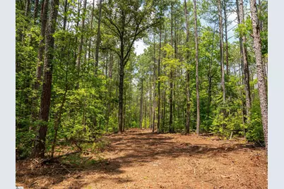 00 Cheek Road #Lot 15, Gray Court, SC 29645 - Photo 10