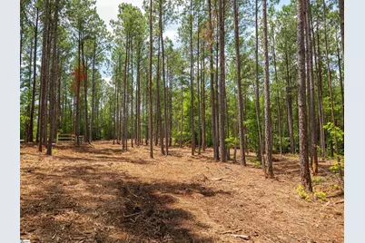 00 Cheek Road #Lot 16, Gray Court, SC 29645 - Photo 8