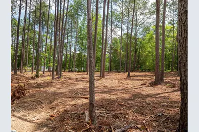 00 Cheek Road #Lot 16, Gray Court, SC 29645 - Photo 10