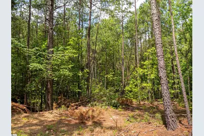 00 Cheek Road #Lot 16, Gray Court, SC 29645 - Photo 12