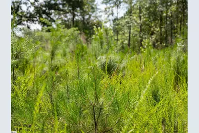 00 Cheek Road #Lot 18, Gray Court, SC 29645 - Photo 14